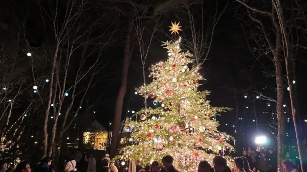 Karuizawa Highland Church Christmas Illumination Requires Advance Reservation