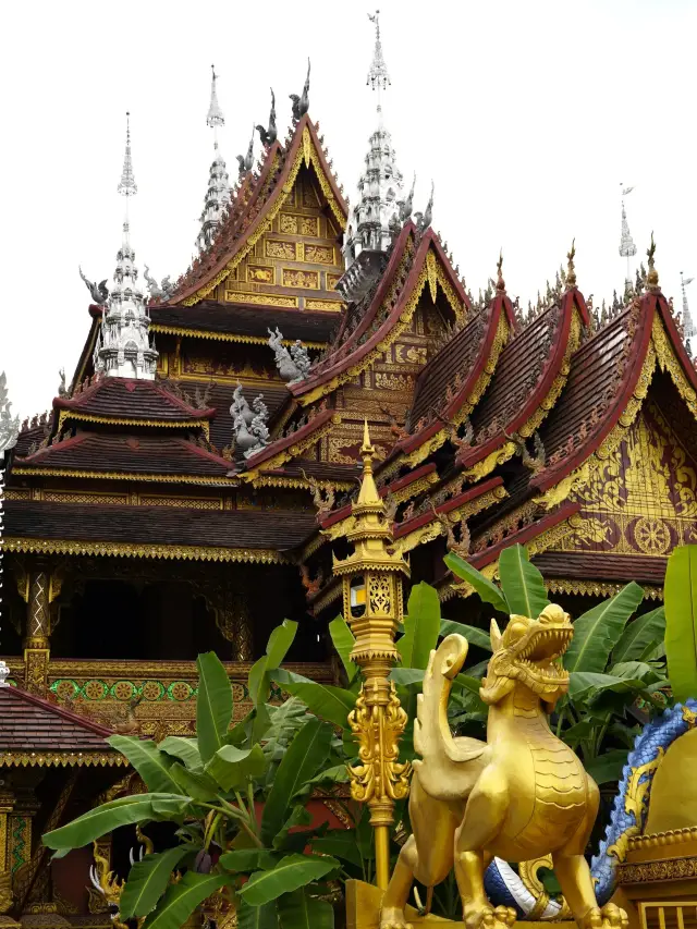 윈난 시솽반나-푸얼 6일 가족 여행 초상세 가이드가 왔습니다