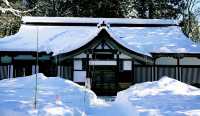 樂在大雪紛飛—日本長野