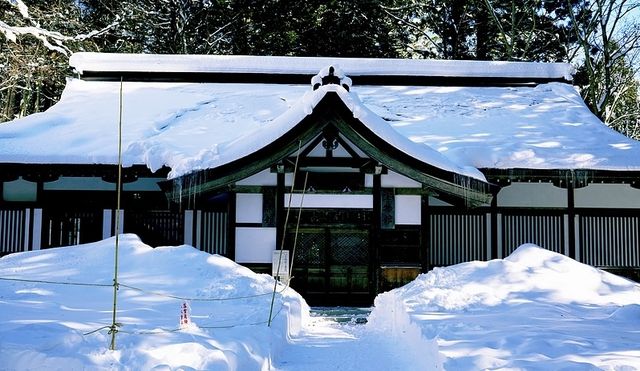 樂在大雪紛飛—日本長野
