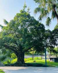 被這個公園治癒…周末遛娃 散步必逛四海公園
