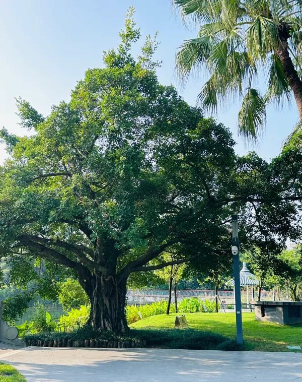 被這個公園治癒…周末遛娃 散步必逛四海公園