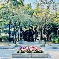 來深圳中心公園逛逛啦