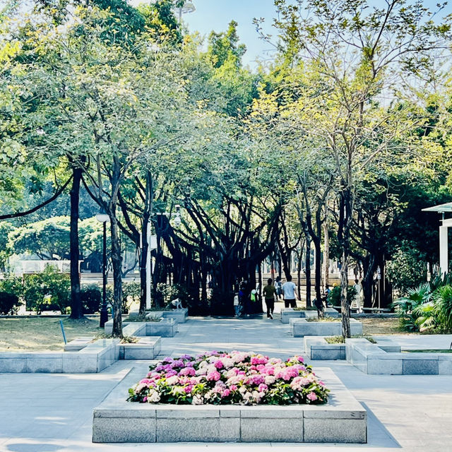 來深圳中心公園逛逛啦
