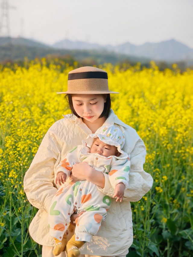 走！去睇深圳第一批油菜花盛開！！！