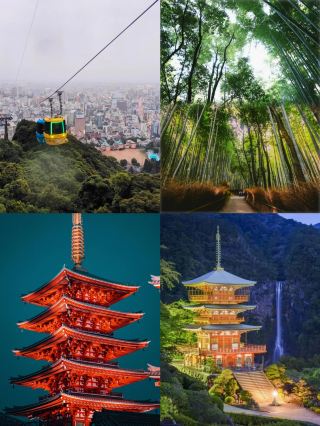 Tokushima: A Dreamy Puzzle of Japan's Off-the-Beaten-Path Travel