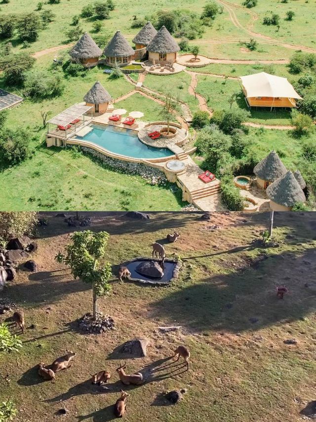 南非旅行｜入住野生動物保護區裏的奢華酒店