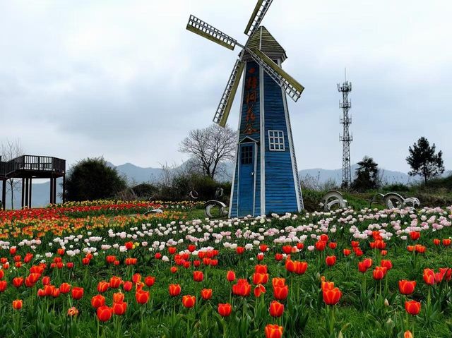 銅陵梧桐花谷｜山水秀麗，花開四季