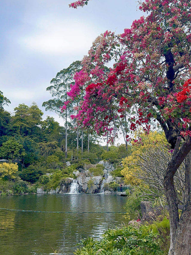 探秘雲蘿植物園，邂逅自然之美🌸