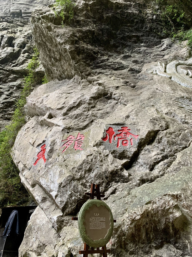 武隆天坑｜滿城盡帶黃金甲！
