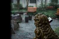 【上海青浦曲水園】雨中江南,絕美打卡地!