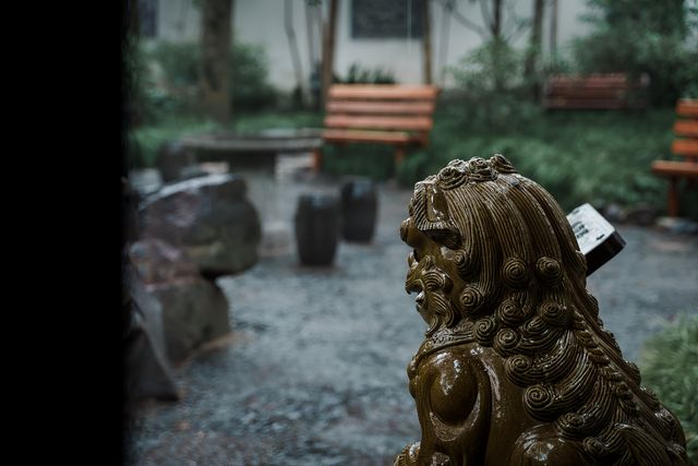 【上海青浦曲水園】雨中江南,絕美打卡地! 【上海青浦曲水園】雨中江南,絕美打卡地!