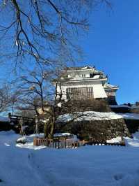 日本福井超全遊玩攻略