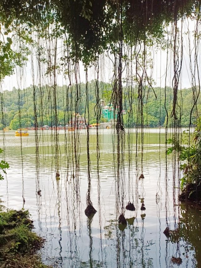 Zhuhai as A Honey Moon Destination: Coastal Line City of Lovers