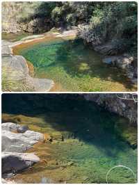 在大奇山國家森林公園偶遇“神秘生物”，你猜是啥？