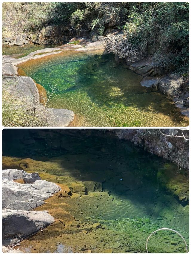 在大奇山國家森林公園偶遇“神秘生物”，你猜是啥？