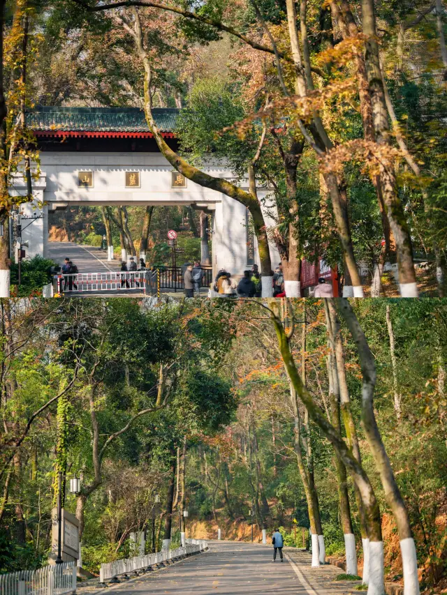 岳麓山徒步攻略｜最美環山路線