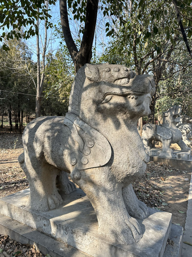 週末親子遊｜永城陳勝王陵，歷史與自然的完美結合