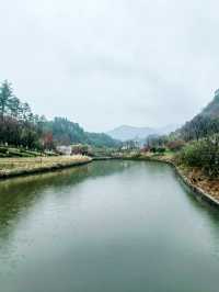 華東藥用植物園，2000餘種植物等您來探索