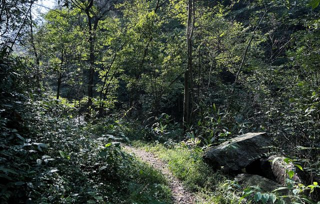 湖南益陽安化茶馬古道|一條被遺忘的洞市老街