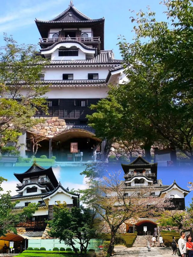 被低估的日本小城！犬山市一日暴走攻略