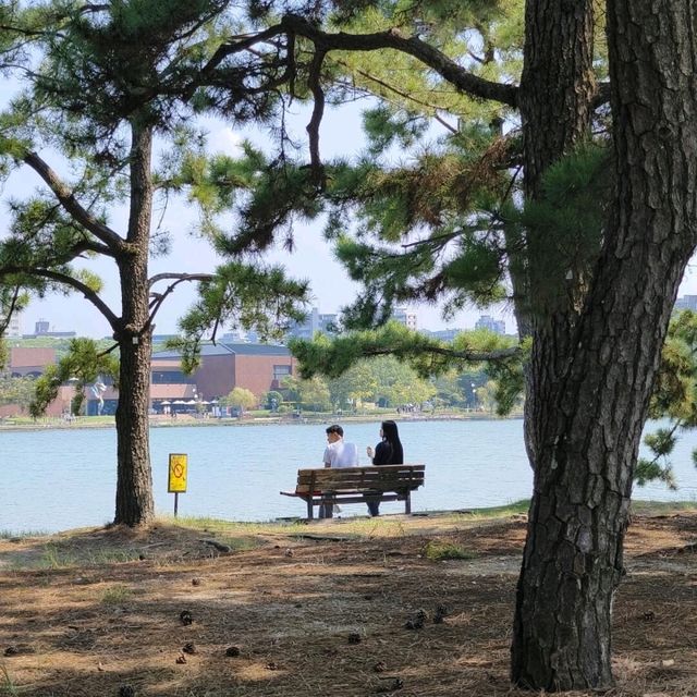 避開人潮，福岡一人悠遊記 | 九州福岡5天4晚獨旅攻略