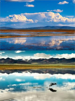 삼하의 기원을 추적하다: 지구 생태계의 생명 동맥