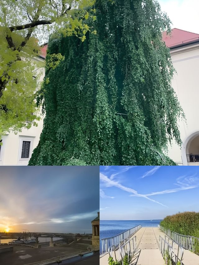 什切青綺夢：波蘭的隱秘瑰寶之旅