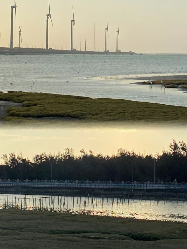 台中周邊遊—高美濕地