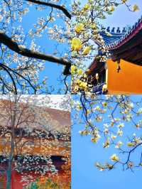 去了一趟牛首山，總結了這些教訓
