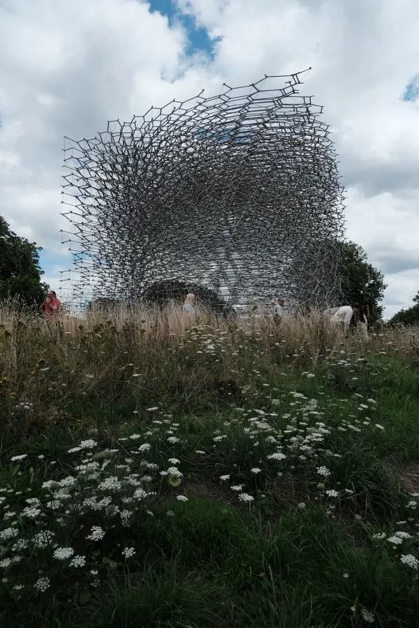 Discover the Summer Beauty of Kew Gardens