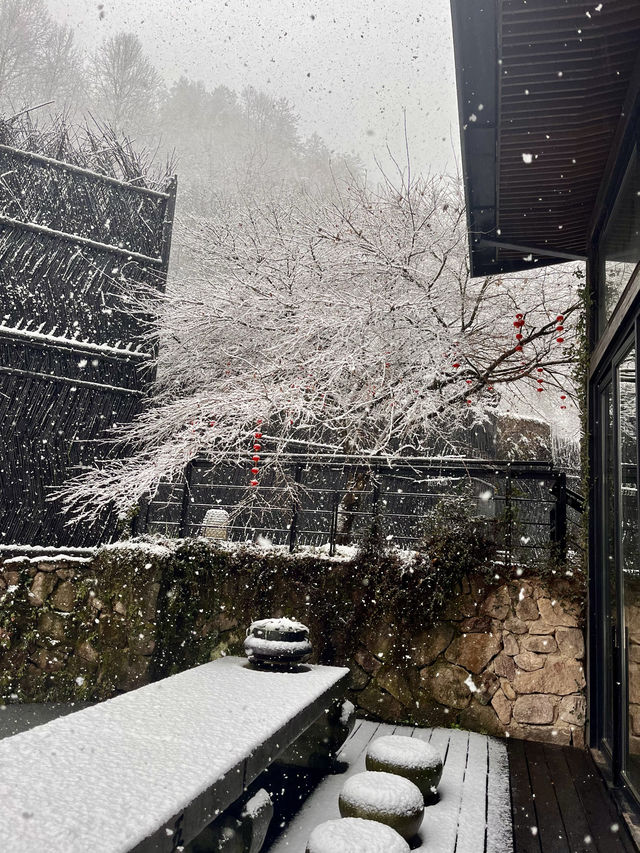 在金華邂逅了超美的雪景