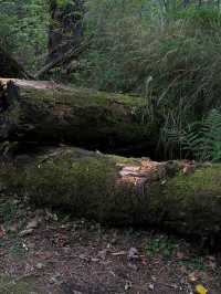白山-延邊3日深度遊 超詳細攻略來襲必收藏
