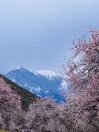林芝等地適合老年人的悠閒旅遊攻略別錯過