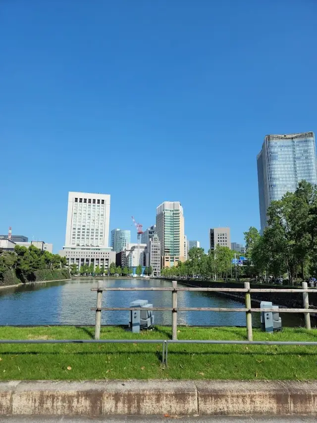 7-Day Japan Trip with Old Friends: A Must-Save Guide