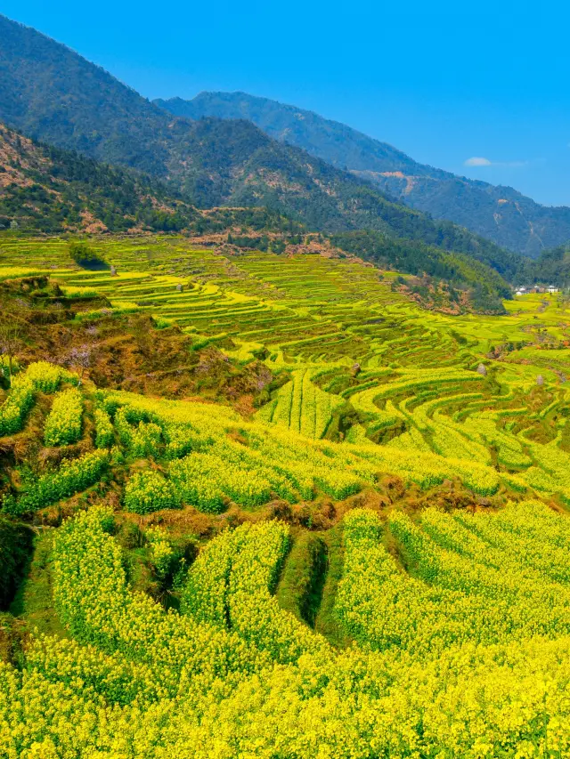 Shangrao-Huangshan 3-Day Tour: A Comprehensive Guide to Exploring Two Destinations
