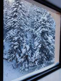 雪鄉！雪景房！為了這扇窗我能來無數次！