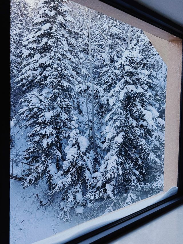雪鄉！雪景房！為了這扇窗我能來無數次！