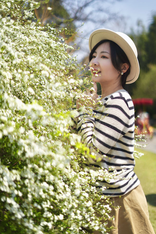 這棵樹完全長在我的審美點上！