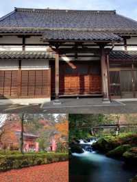 日本小松