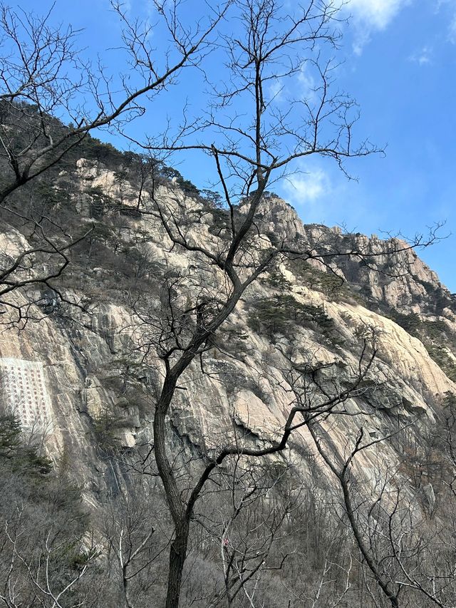 棗莊-泰安-濟寧3日遊 看這篇就夠啦 熱門全打卡