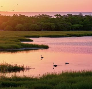 A Guide to Exploring the Djukbinj National Park Wetlands in Darwin, Australia