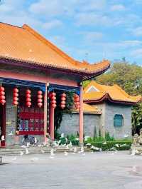 誰還不知道順德順峰山公園我會傷心的OK？