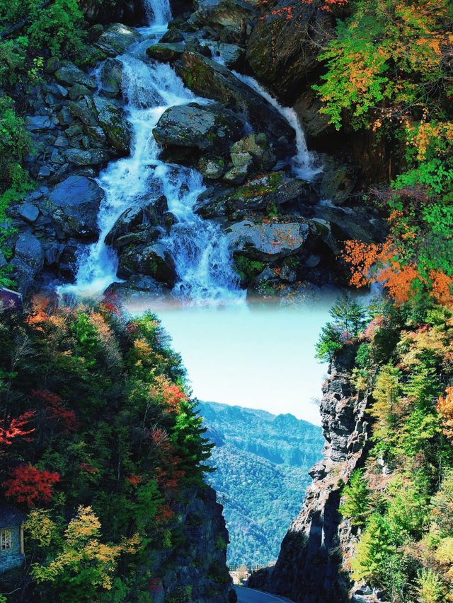 神農架不趕景點深度2日遊 森林吸氧治癒
