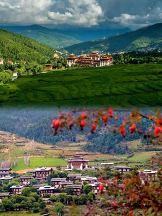 Experience the unique charm of Thimphu, Bhutan.