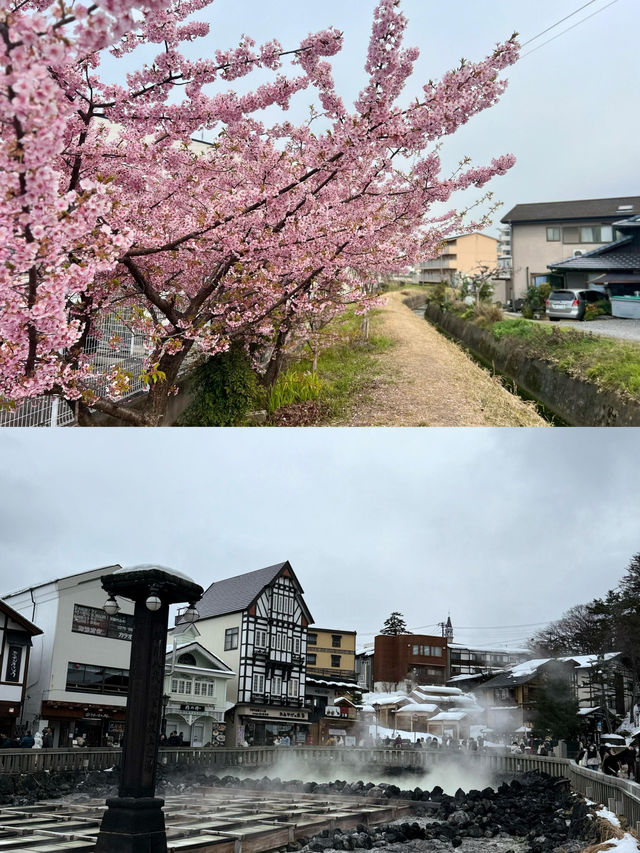 草津市｜日本溫泉小眾玩法之旅