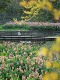 深圳中心公園：都市綠色心臟