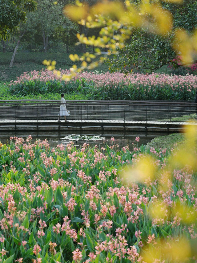 深圳中心公園：都市綠色心臟