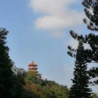 🌿【深圳仙湖植物園懶人攻略】✨