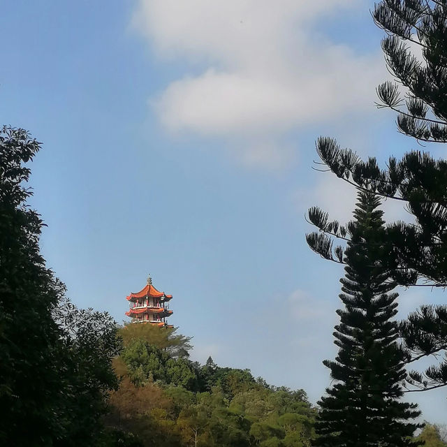 🌿【深圳仙湖植物園懶人攻略】✨